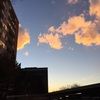 bmitchell8